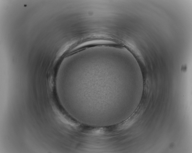 X0000091960116200709061309