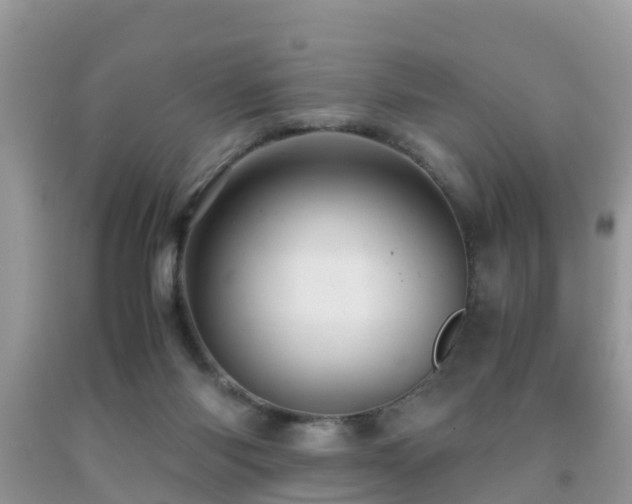 X0000091960118200709061309