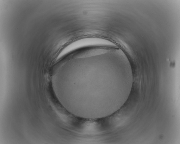 X0000091960119200709061309