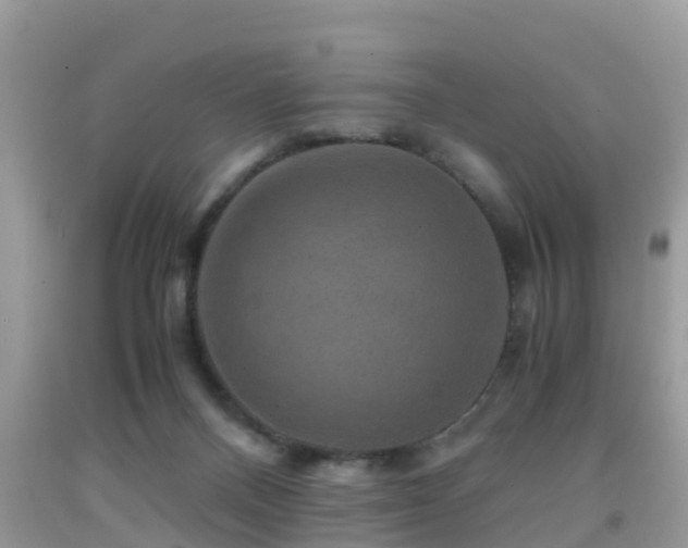 X0000091960120200709061309