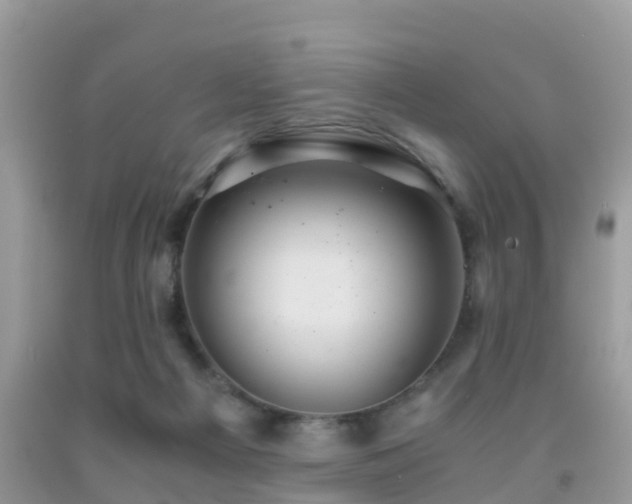 X0000091960121200709061309