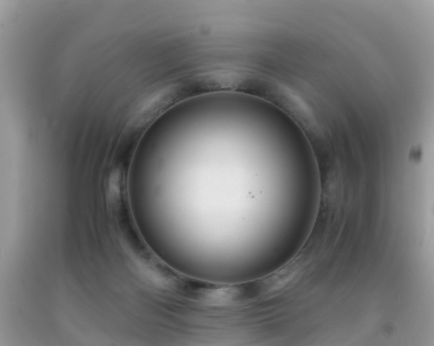 X0000091960122200709061309