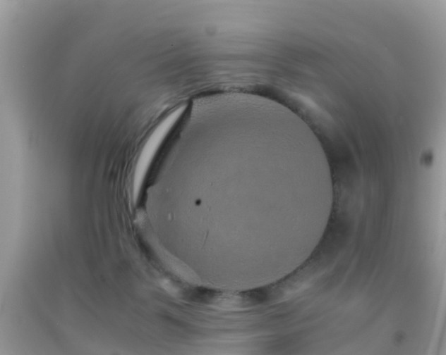 X0000091960123200709061309