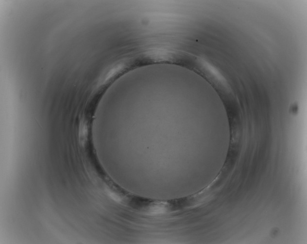 X0000091960124200709061309