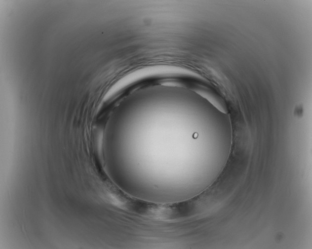 X0000091960125200709061309