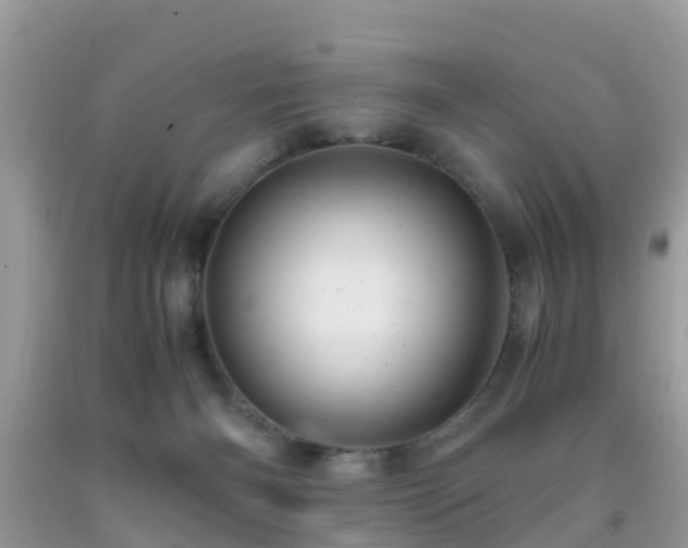 X0000091960126200709061309