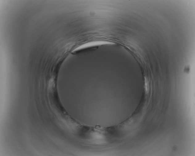 X0000091960127200709061309