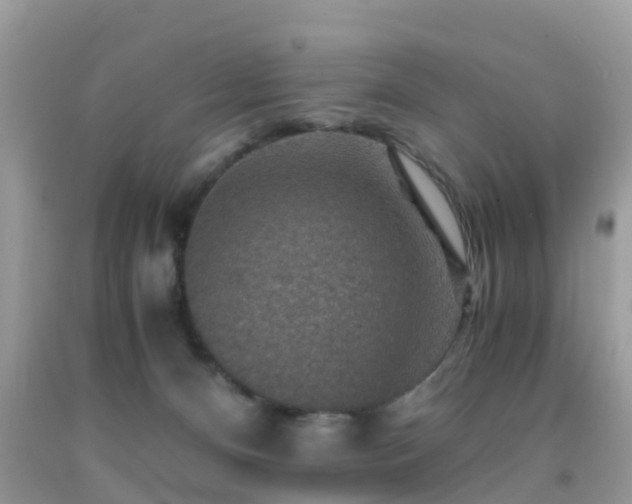 X0000091960128200709061309