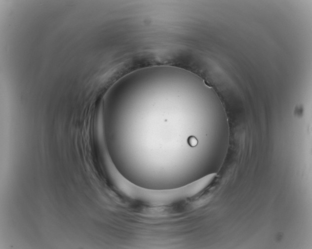 X0000091960129200709061309