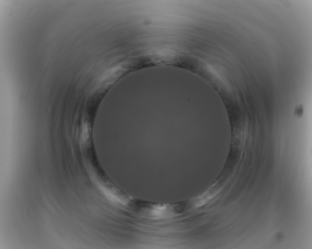 X0000091960130200709061309