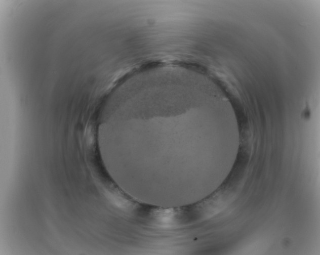 X0000091960131200709061309