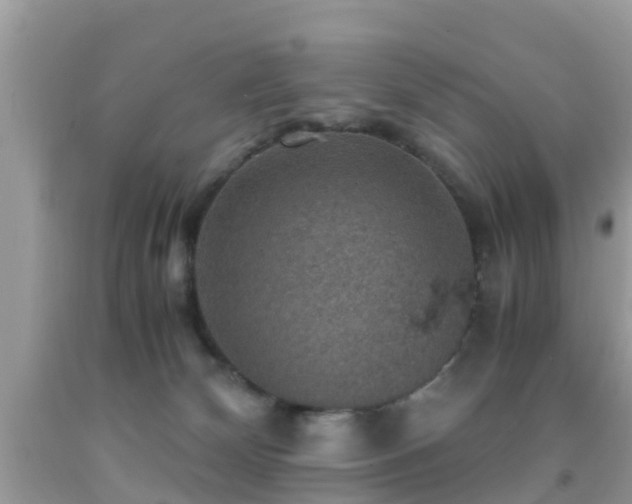 X0000091960132200709061309