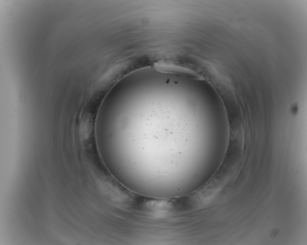 X0000091960133200709061309