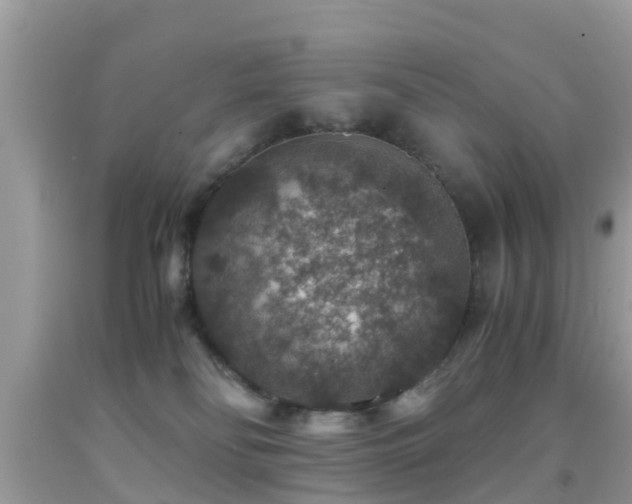 X0000091960134200709061309