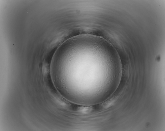 X0000091960135200709061309