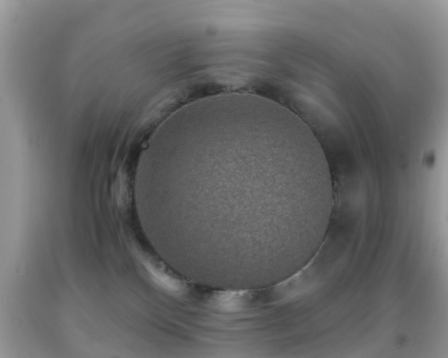 X0000091960136200709061309