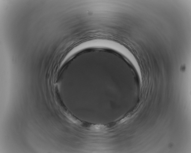 X0000091960137200709061309