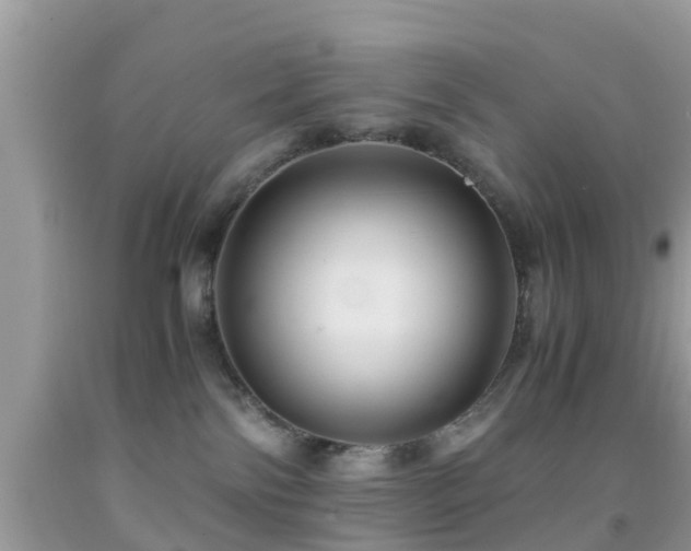 X0000091960138200709061309