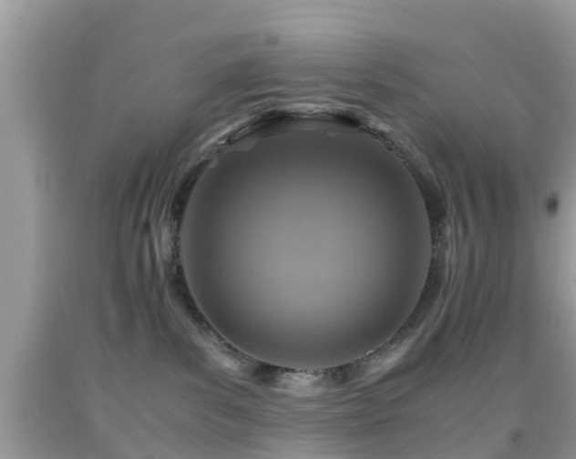 X0000091960139200709061309