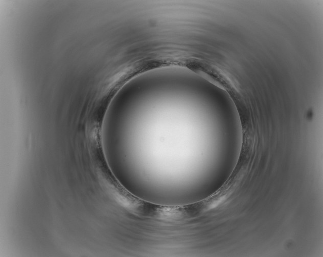 X0000091960141200709061309