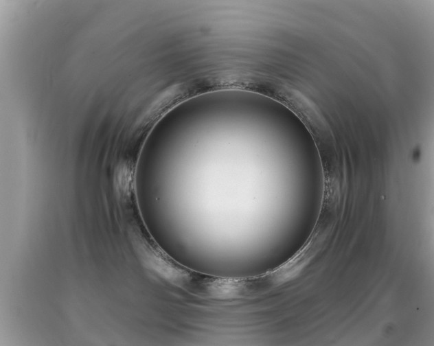 X0000091960142200709061309