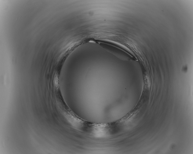 X0000091960143200709061309