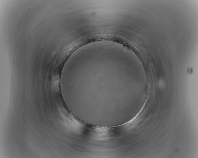 X0000091960144200709061309