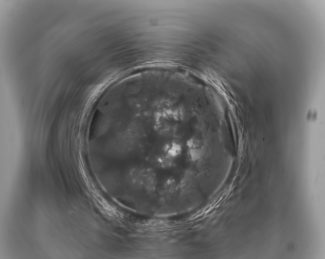 X0000091960145200709061308