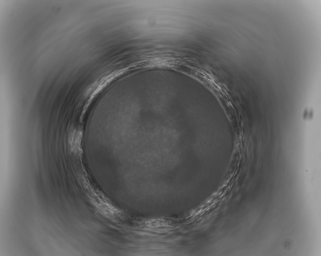 X0000091960146200709061308