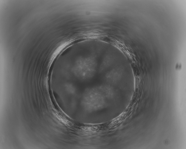 X0000091960147200709061308