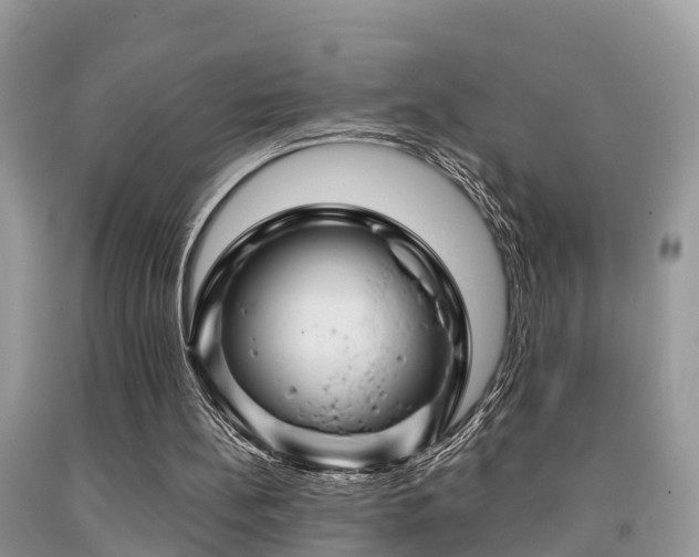 X0000091960148200709061308