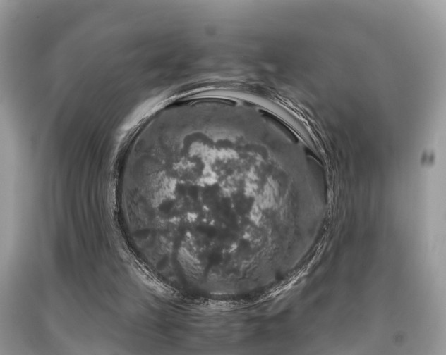 X0000091960149200709061308