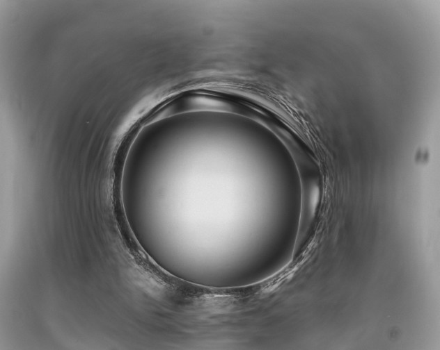 X0000091960150200709061308