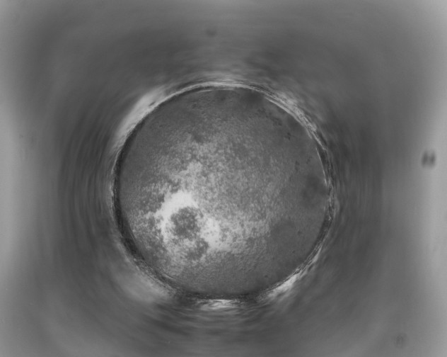 X0000091960151200709061308