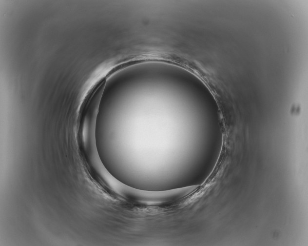 X0000091960152200709061308