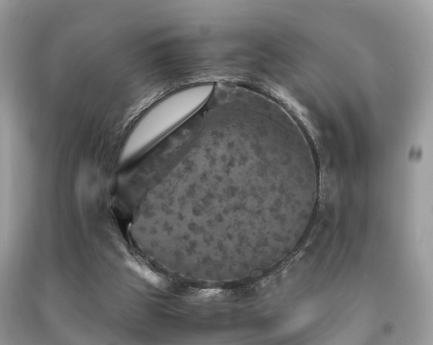 X0000091960153200709061308