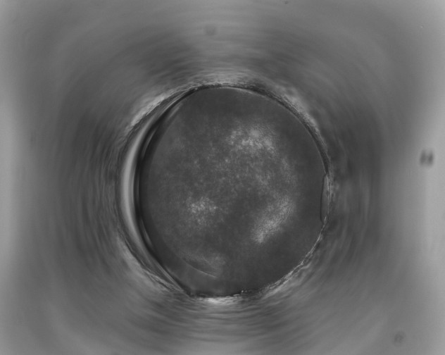 X0000091960154200709061308