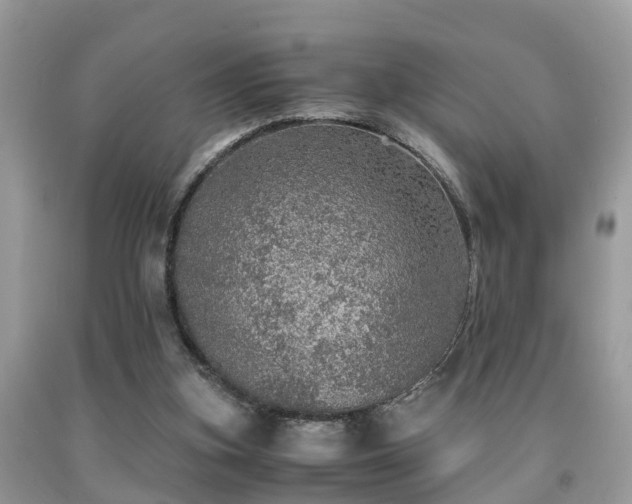 X0000091960155200709061308