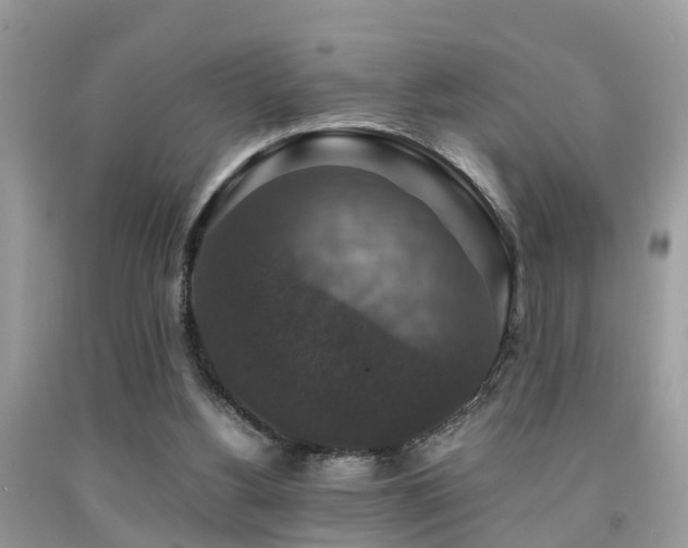 X0000091960156200709061308