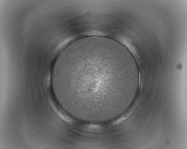 X0000091960157200709061308