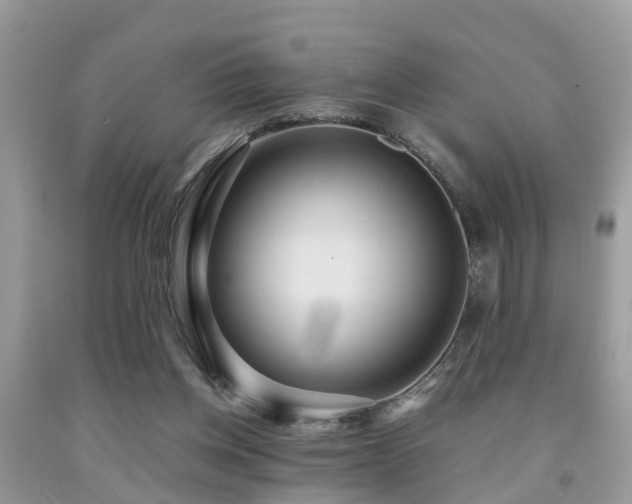 X0000091960158200709061308