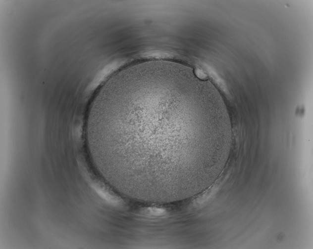 X0000091960159200709061308