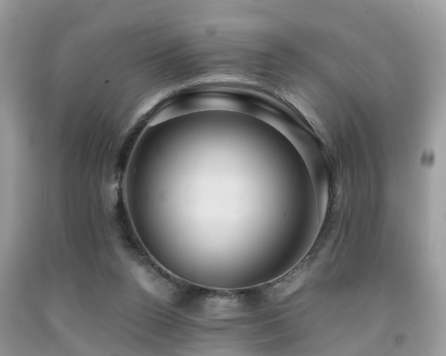 X0000091960160200709061308