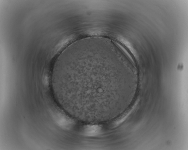 X0000091960161200709061308