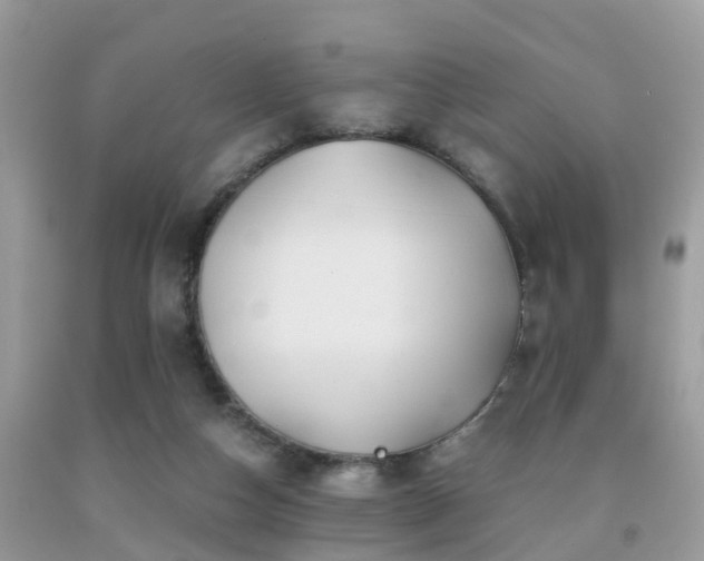 X0000091960162200709061308