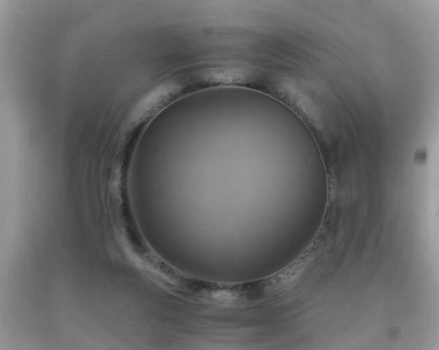 X0000091960163200709061308