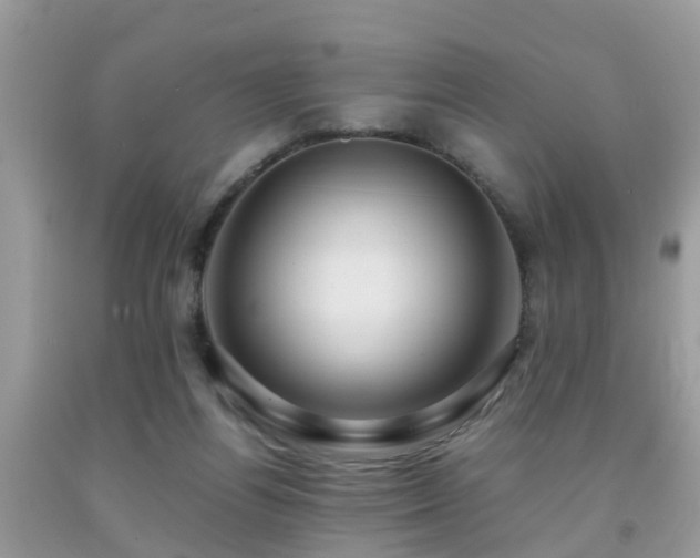 X0000091960164200709061308