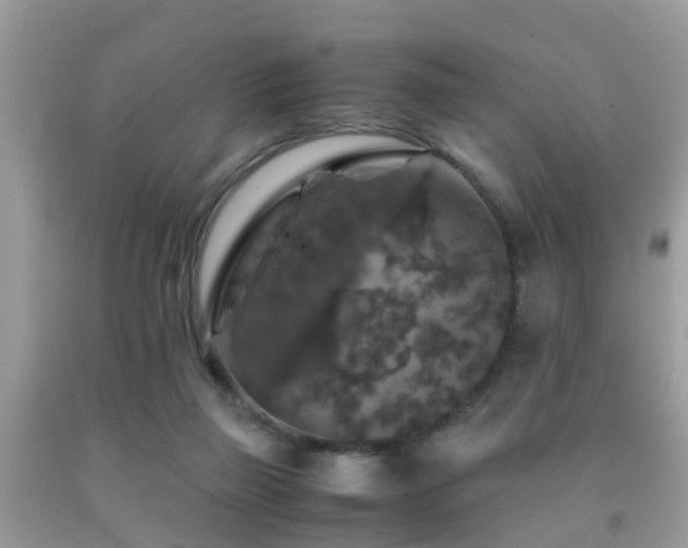 X0000091960165200709061308