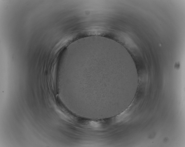 X0000091960166200709061308