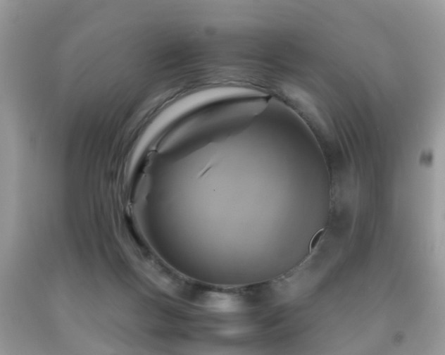 X0000091960167200709061308